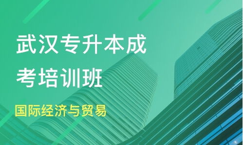 武漢成考專升本國際貿(mào)易與經(jīng)濟專業(yè)選擇指南 領航時代與淘學培訓深度解析